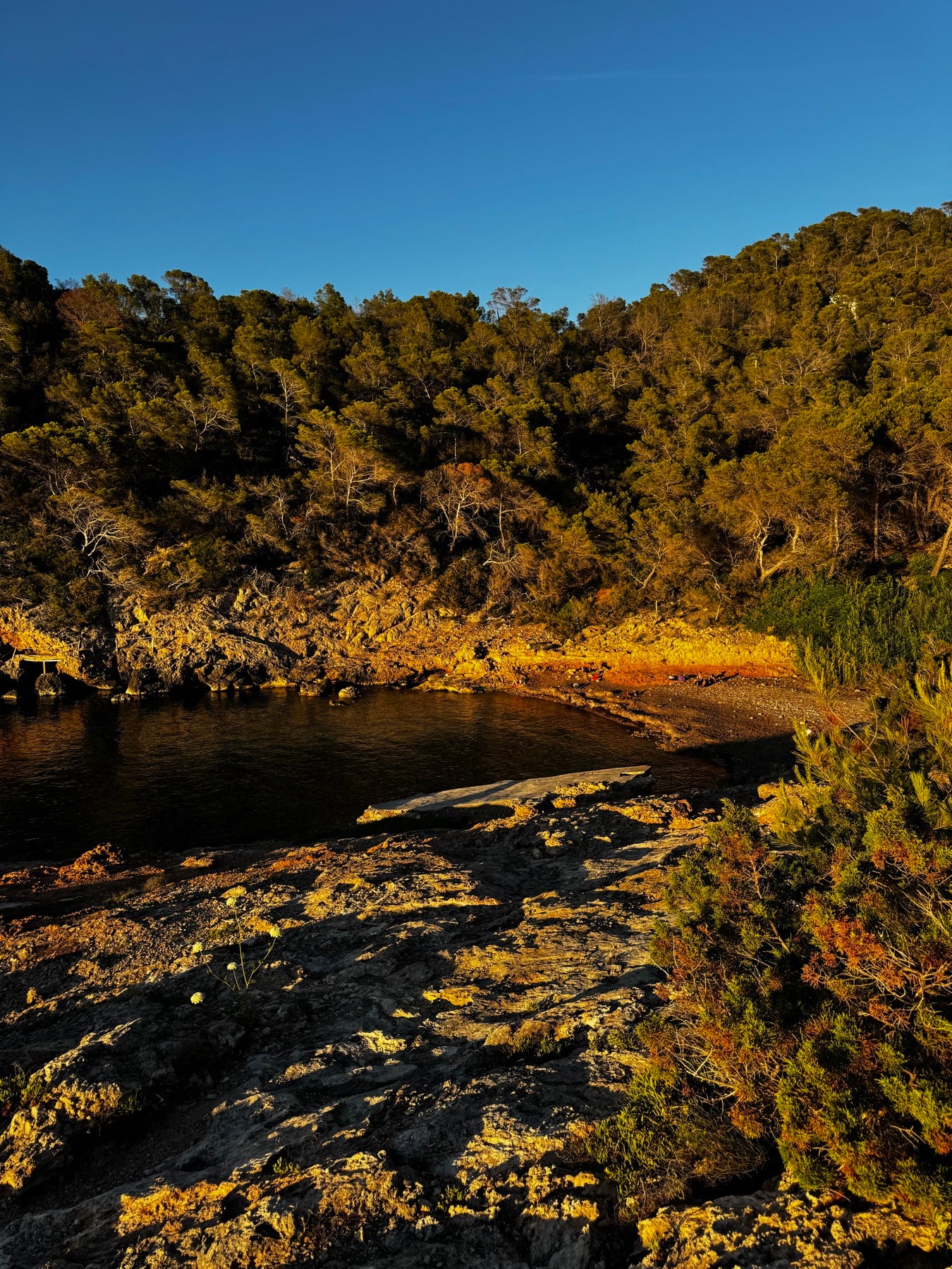 Golden hour over a quiet cove